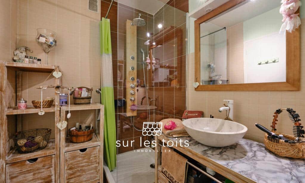 2024_03_19_SurLesToits_Mesanges_DSCF7297