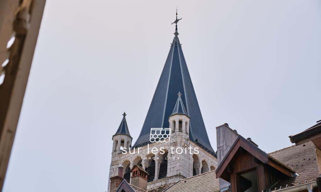 2025_05_02_Surlestoits_Notre_Dame_DSCF2253