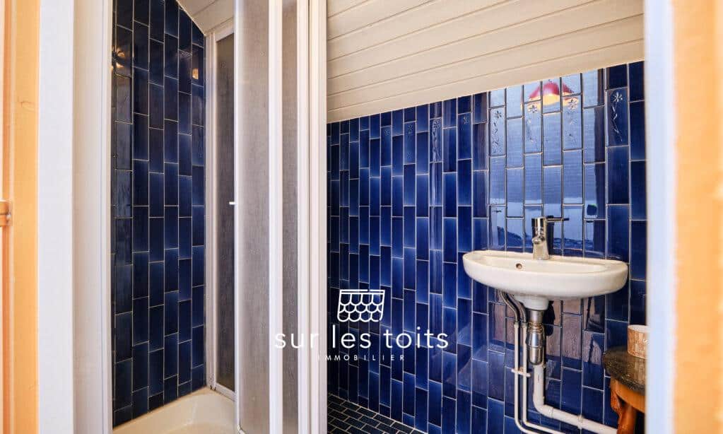 2025_04_10_Surlestoits_royale_9_DSCF5259