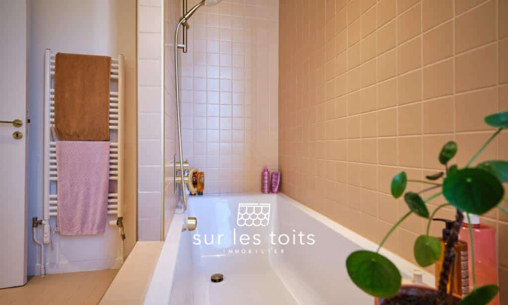 2026_03_09_Surlestoits_3_rue_des_frêtes_XT5G2042