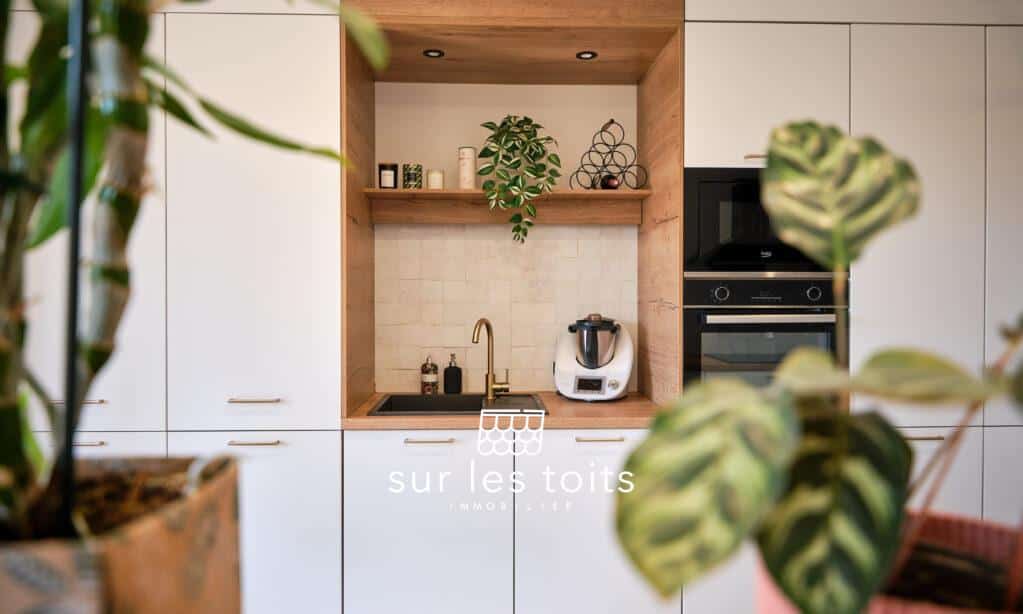 2026_04_03_Surlestoits_9_rue_Jean_Mermoz_XT5G5845